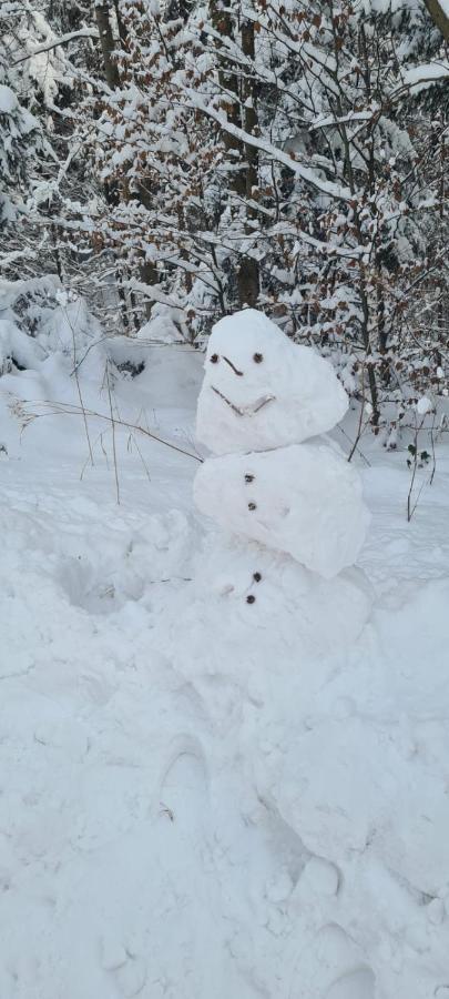 Laverde - Blisko Przyrody Daleko Od Tlumu Villa Skomielna Czarna Bagian luar foto