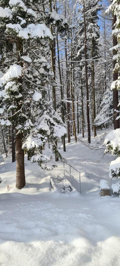 Laverde - Blisko Przyrody Daleko Od Tlumu Villa Skomielna Czarna Bagian luar foto